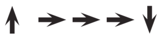 LoopQuiz